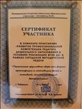 Сертификат участника в семинаре-практикуме Сертификат участника в семинаре-практикуме